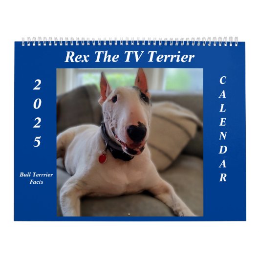 レックスTV Terrier 2025 Bull Terrier Facts Calenda カレンダー (カバー)