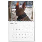 レックスTV Terrier Word of the month 2022カレンダー カレンダー (1月 2026)