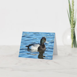 レッサースケールアップ – Bluebill Duck Drake カード