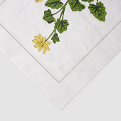 レッサーセランジンボタニカルイラストレーション1885 薄葉紙 (詳細)