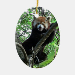 レッサーパンダのオーナメントの~の絶滅危ぐ種シリーズ セラミックオーナメント