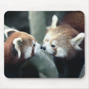 レッサーパンダの#1マウスパッド マウスパッド