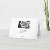 レッサーパンダの#1挨拶カード カード (裏面)