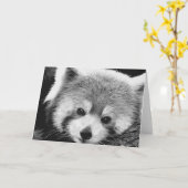 レッサーパンダの#1挨拶カード カード (黄色い花)
