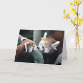 レッサーパンダの#2挨拶カード カード (黄色い花)