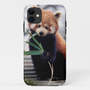 レッサーパンダのiPhone 5/5Sの箱を救って下さい iPhone 11 ケース