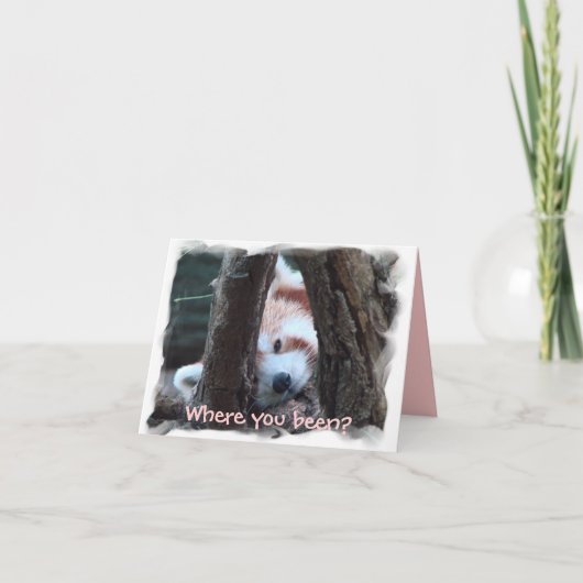 レッサーパンダのnotecard: "あっているか。 私は恋しく思います! " カード (正面)