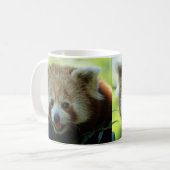 レッサーパンダは目がさめています! コーヒーマグカップ (正面左)