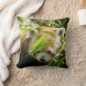 レッサーパンダ415P2 クッション (ブランケット)