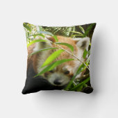 レッサーパンダ415P2 クッション (裏面)