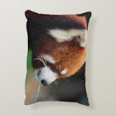 レッサーパンダ アクセントクッション (裏面(縦))