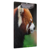 レッサーパンダ クリップボード (右)