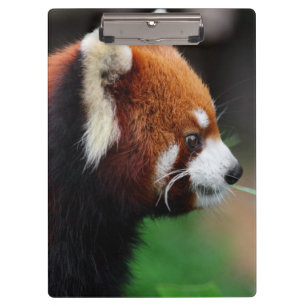 レッサーパンダ クリップボード