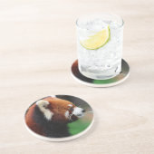 レッサーパンダ コースター (側面)