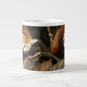 レッサーパンダ ジャンボコーヒーマグカップ (正面)