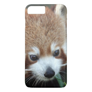レッサーパンダ タロンガ動物園 シドニー オーストラリア iPhone 8 PLUS/7 PLUSケース