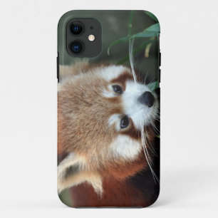 レッサーパンダ タロンガ動物園 シドニー オーストラリア iPhone 11 ケース