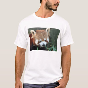 レッサーパンダ タロンガ動物園 シドニー オーストラリア Tシャツ
