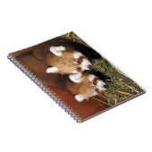 レッサーパンダ ノートブック (右側)