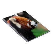 レッサーパンダ ノートブック (右側)