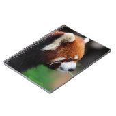 レッサーパンダ ノートブック (左側)