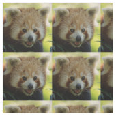 レッサーパンダ ファブリック (見本)