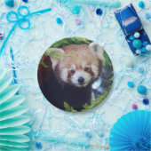 レッサーパンダ ペーパープレート (パーティー)