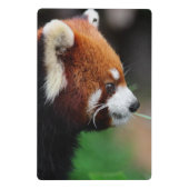 レッサーパンダ ミニクリップボード (裏面)