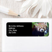 レッサーパンダ ラベル (インサイチュ)