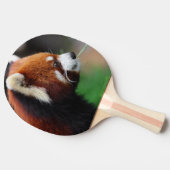 レッサーパンダ 卓球ラケット (横)