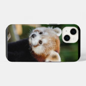 レッサーパンダ 野生動物 iPhoneケース (裏面横)