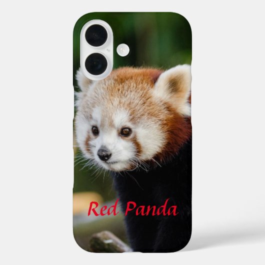 レッサーパンダ 雪の丸太の写真 Case-Mate iPhoneケース (裏面)
