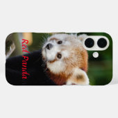 レッサーパンダ 雪の丸太の写真 Case-Mate iPhoneケース (裏面 (横))