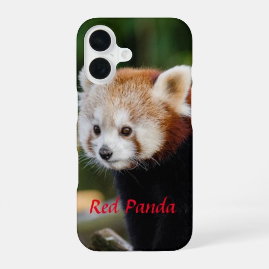 レッサーパンダ 雪の丸太の写真 iPhone 16ケース (裏面)