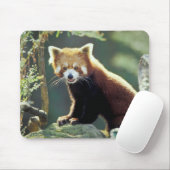 レッサーパンダ(Ailurus fulgens) マウスパッド (マウス)