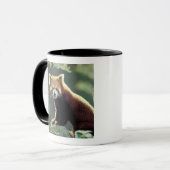 レッサーパンダ(Ailurus fulgens) マグカップ (正面左)