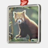 レッサーパンダ(Ailurus fulgens) メタルオーナメント (左)