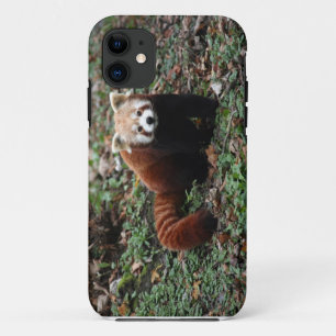 レッサーパンダ iPhone 11 ケース
