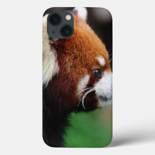 レッサーパンダ iPhone 13ケース
