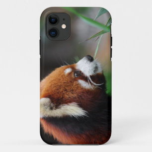 レッサーパンダ iPhone 11 ケース