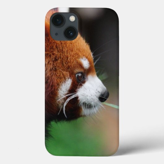 レッサーパンダ Case-Mate iPhoneケース (裏面)