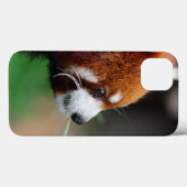 レッサーパンダ Case-Mate iPhoneケース (裏面 (横))