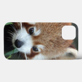 レッサーパンダ、Tarongaの動物園、シドニー、オーストラリア Case-Mate iPhoneケース (裏面 (横))
