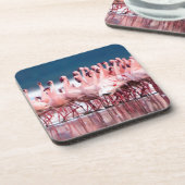 レッサーフラミンゴスの大きなグループ コースター (左側)