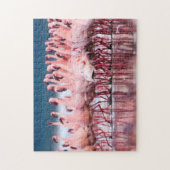 レッサーフラミンゴスの大きなグループ ジグソーパズル (縦)