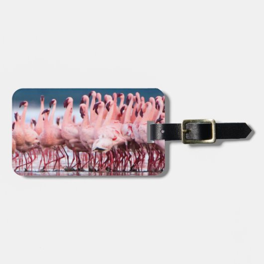レッサーフラミンゴスの大きなグループ ラゲッジタグ (正面横)