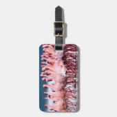 レッサーフラミンゴスの大きなグループ ラゲッジタグ (正面縦)