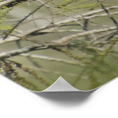 レッサーブルーヘロンエバーグレーズナショナルパーク ポスター (角)