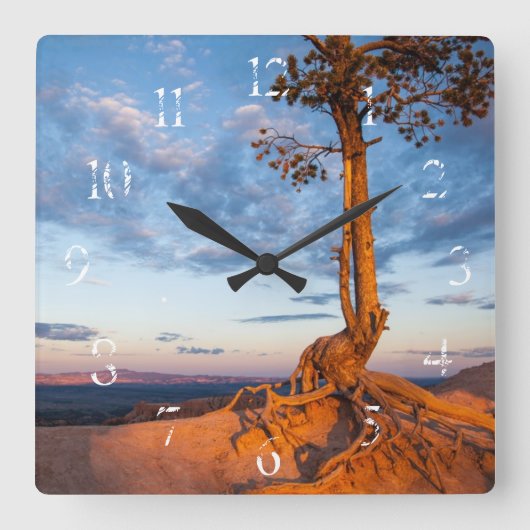 レッジへのツリークリングス，ブライスキャニオン国立公園 スクエア壁時計 (正面)