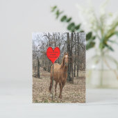 レッスホースバのまわりにンタインのポストカード シーズンポストカード (スタンド正面)